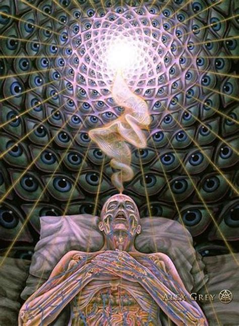 alex grey and the chapel of sacred mirrors|alex psychedelic art.